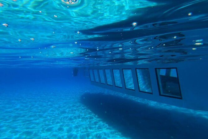 3-Hour Adventure With Hippo Submarine - The swim stop at Navarone Bay: when it feels worth the ticket