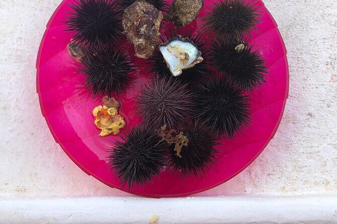 3-hour boat tour - Meeting at Kathara Beach (Faliraki) and the Onboard Vibe