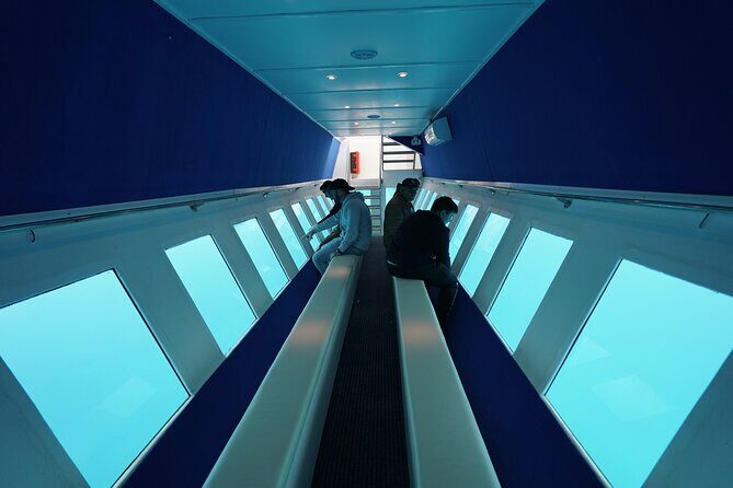 3 Hour Yellow Semi Submarine Swimming Cruise with Drinks Included! - Price and Logistics: What About $60 Actually Buys You