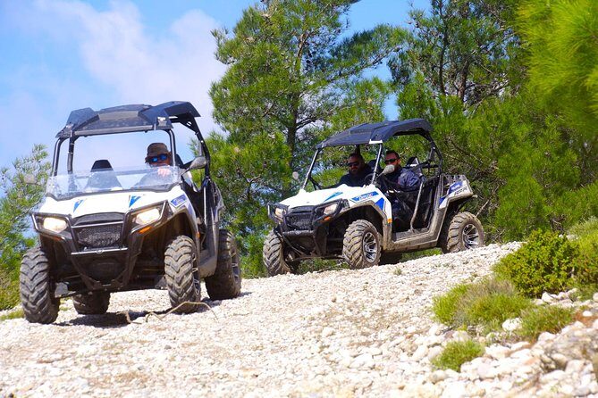 4x4 Buggy Adventures - Off-road Polaris Experience - The Tasting Stop: Greek Honey, Olive Oil, and Fresh Fruit
