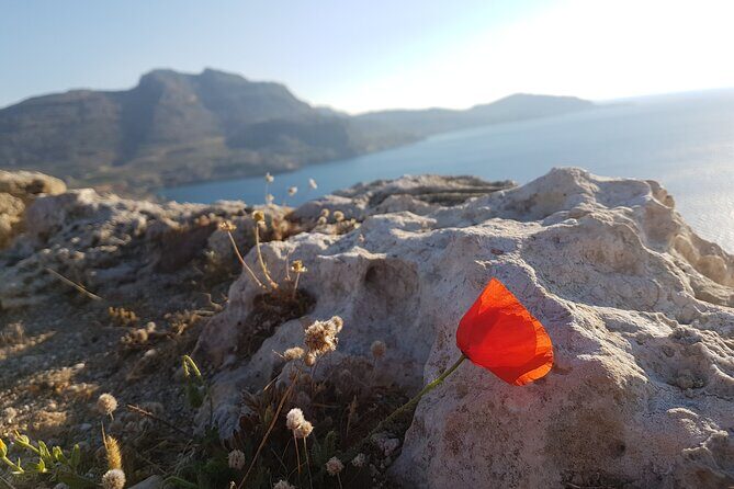 All in One Full Day Rhodes Island Tour for First Time Visitors - Timing, pickup, and avoiding the port search headache