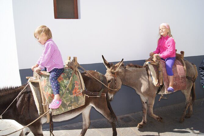 Best of Rhodes Cruise-Friendly Tour - Price and Value: What $83.08 Buys You (And What Costs Extra)