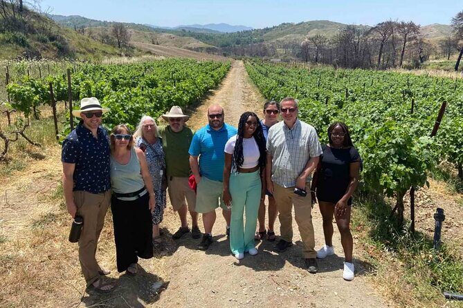 Food & Wine Tour: 11- Course Lunch, Cooking Class, Wine Tasting - What the winery talk includes: grapes, vinification, and local wine styles