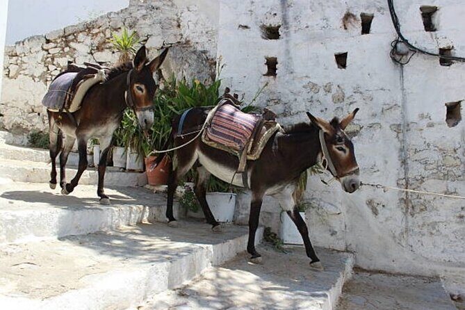 Full-Day Сomprehensive Tour of Rhodes including Wine Tasting - Transportation Comfort: Air-Conditioned, But Don’t Assume Perfect Fit