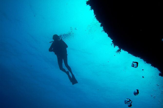 (Full day)Scuba Diving in Rhodes - Snorkeling time and swimming breaks: turning the wait into the best part