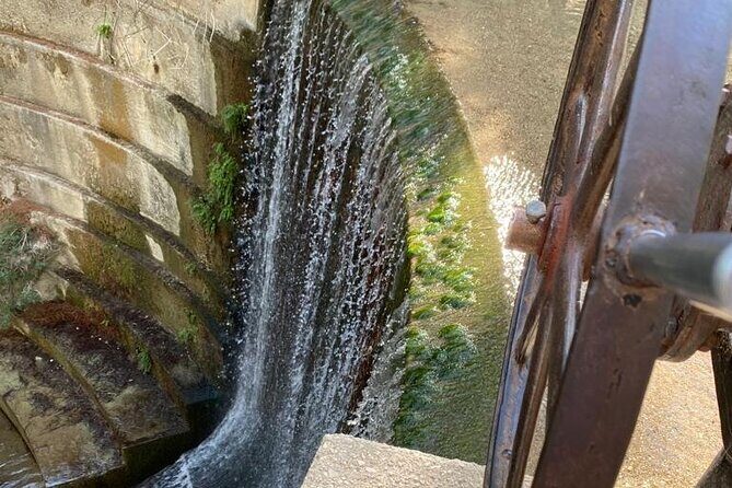 Guided hike to the seven springs from Archangelos - Entering the Seven Springs area: ducks, peacocks, and cool water