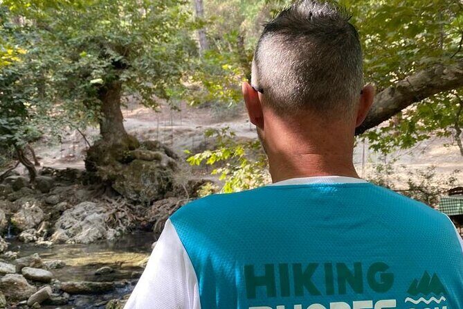 Guided hike to the seven springs from Archangelos - After the springs: woods, olive fields, and the drier Archangelos feel