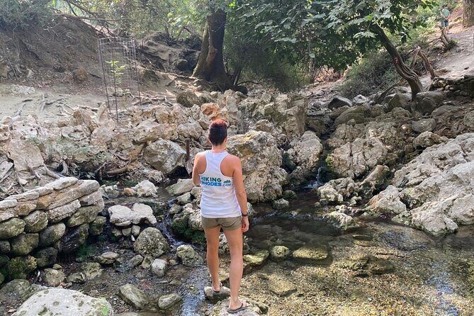 Guided hike to the seven springs from Archangelos - Who should book this, and who should skip it