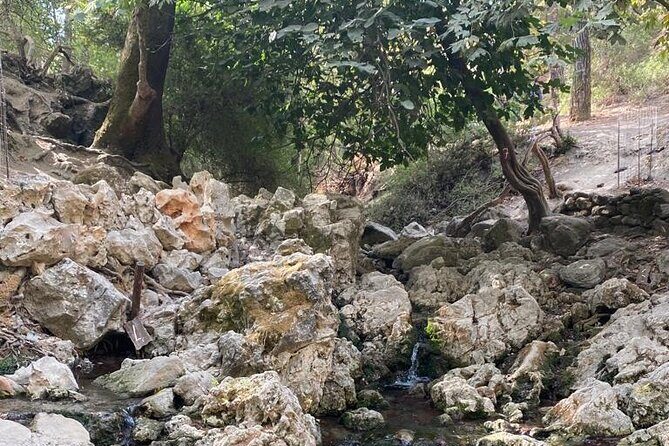 Guided hike to the seven springs from Archangelos - Why this small-group hike feels more personal than a big tour