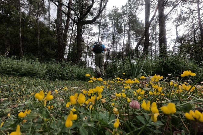 Hiking Mountain Akramitis Rhodes - pick up service available - Key Points That Make This Akramitis Hike Worth Your Time