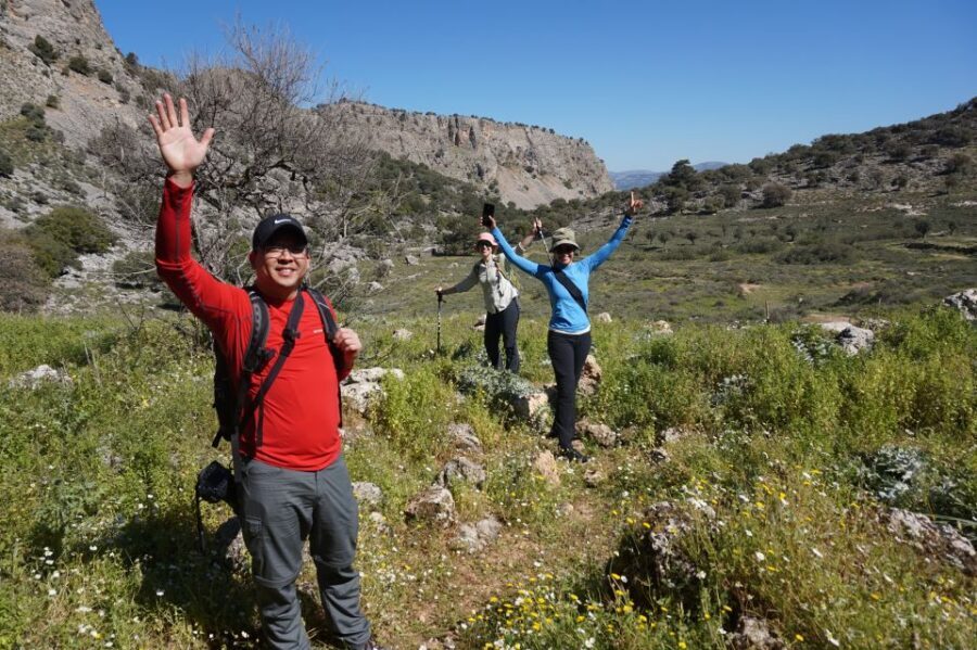 Hiking Tour Exploring Lindos - The first leg: dirt track, pine shade, Marmari, and a cave stop