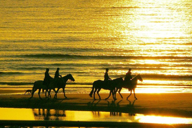 Horse riding on the Beach, Rhodes - Beach Riding at Golden Hour: Sand, Sea Options, and Pace