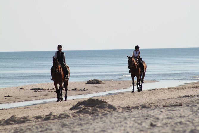 Horse riding on the Beach, Rhodes - Price and Value: Why $133.12 Can Be a Great Deal or a Letdown