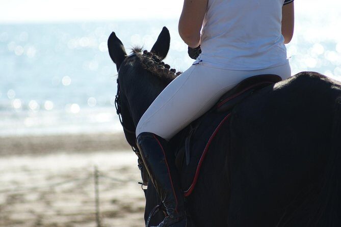 Horse riding on the Beach, Rhodes - Who This Rhodes Horse Ride Fits Best