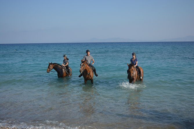 Horse riding on the Beach, Rhodes - The 1-Hour Ride: Short, Scenic, and Hands-On