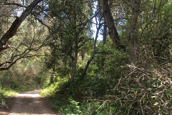 Land Rover Safari in Rhodes South Route - Lunch in Kritinia/Monolithos village: your mid-day reset