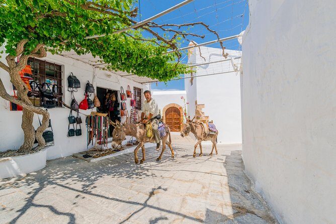 Lindos by Express MiniBus (Small Group) - Who should book this Lindos day trip?