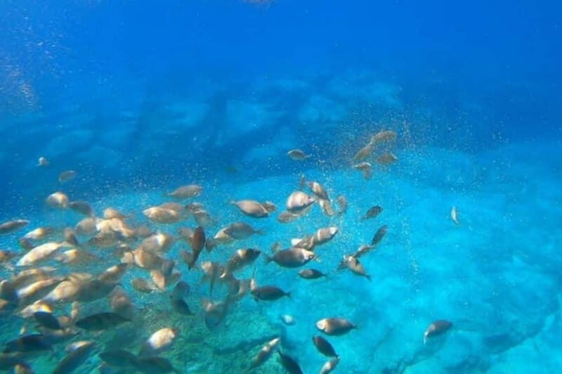 Lindos: Submarine Cruise with Swimming Stop at Navarone Bay - Key Things You’ll Notice on This Lindos Submarine Cruise