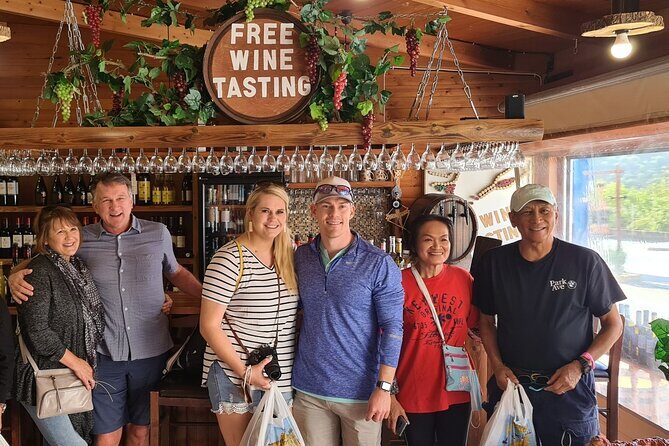 Majestic Rhodes: Lindos, Old Town, History, Culture & Wine Tour - Getting from the port: pickup, comfort, and staying on schedule