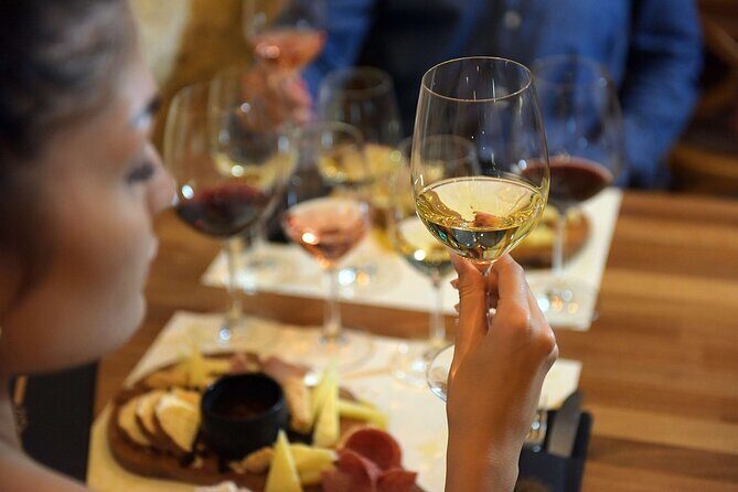 Private Wine Tasting Under the Guidance of a Sommelier in Rhodes - Who This Private Tasting Is Best For in Rhodes