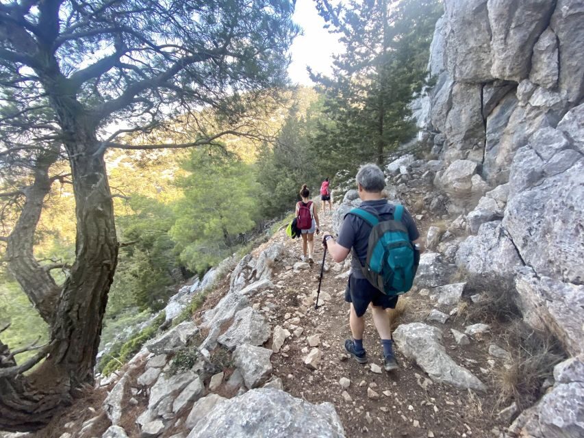 Rhodes: Akramitis Mountain Guided Hike - The Rocky Descent Back Down: Plan for Knees, Not Just Legs