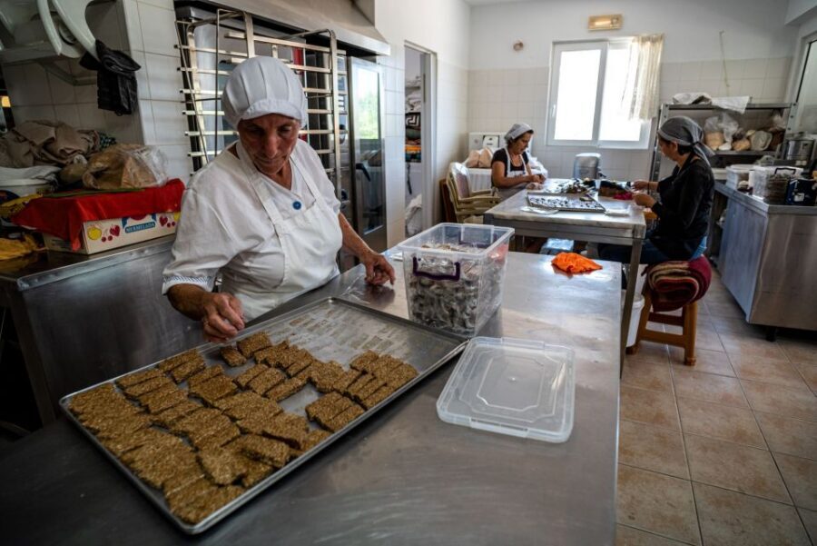Rhodes: Cooking Lesson and Wine Tasting with Lunch - Small winery wine tasting and grape variety lessons