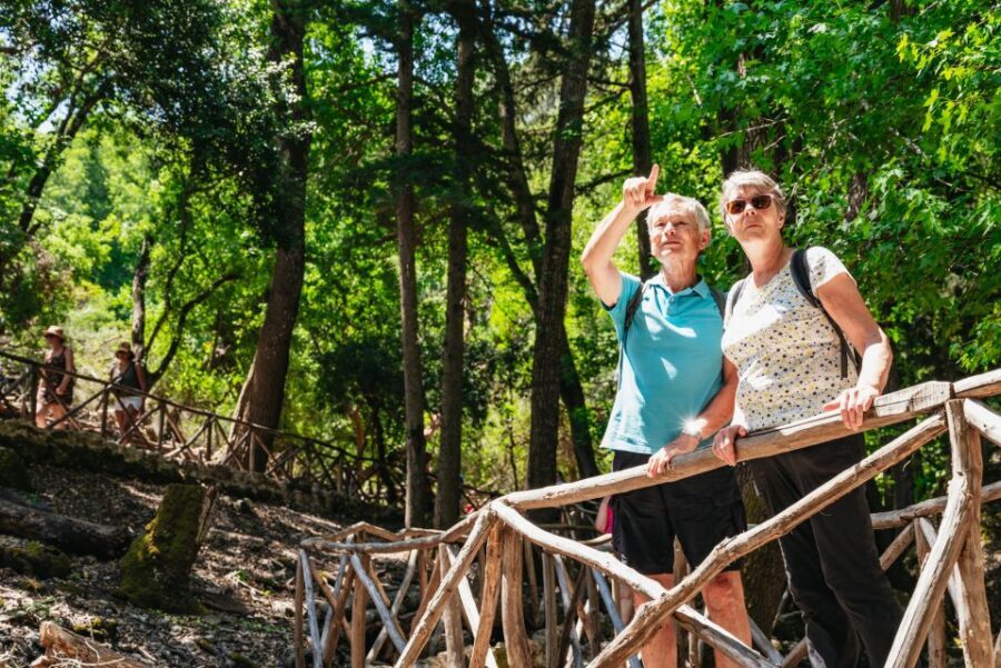 Rhodes: Filerimos Hill and Butterfly Valley Bus Trip - Price and value: what the $31 fare really buys you