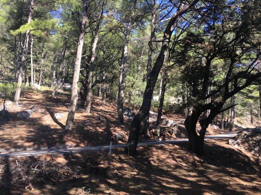Rhodes: Full–Day 4WD Northern Safari Tour - Panoramic viewpoints: seeing Rhodes from the high roads