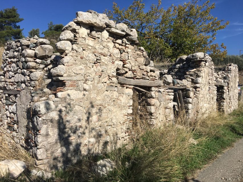 Rhodes: Full–Day 4WD Northern Safari Tour - Off-road tracks, vegetation, and possible wildlife sightings