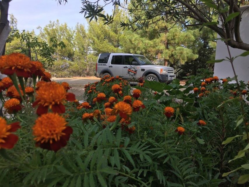 Rhodes: Full–Day 4WD Northern Safari Tour - Timing, pacing, and how to plan the rest of your day