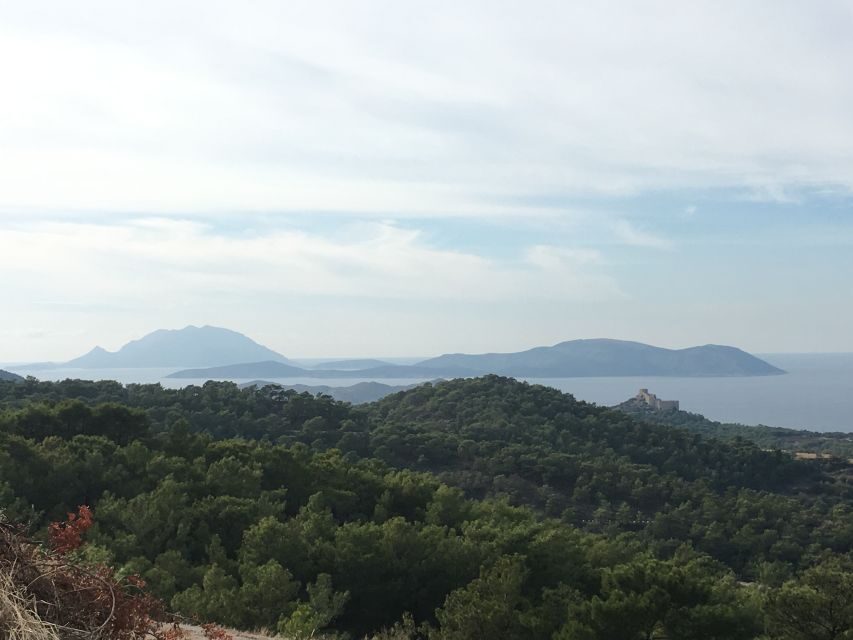 Rhodes: Full-Day 4WD Southern Safari Tour - Should you book this southern Rhodes 4×4 safari?