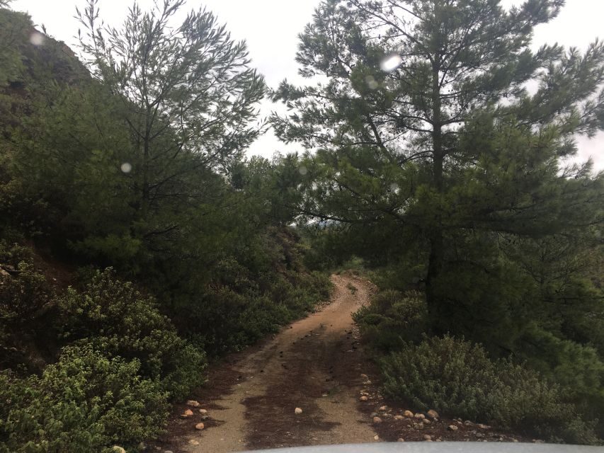 Rhodes: Full-Day 4WD Southern Safari Tour - Price and value: what $159 buys you