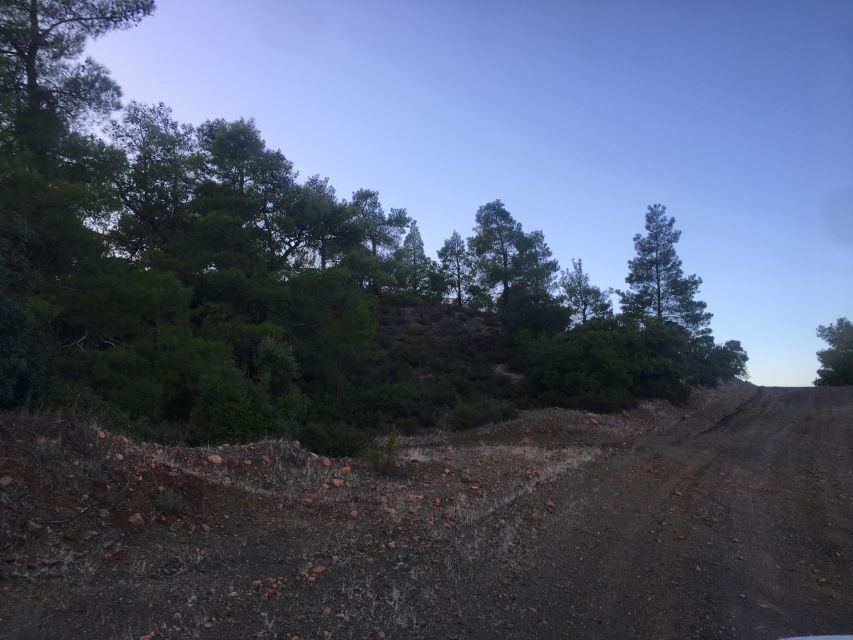 Rhodes: Full-Day 4WD Southern Safari Tour - Who should book this 4×4 southern safari