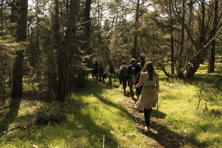 Rhodes: Hiking Tour to the Summit of Akramitis with Photos - Price and value: how $66 fits a summit day
