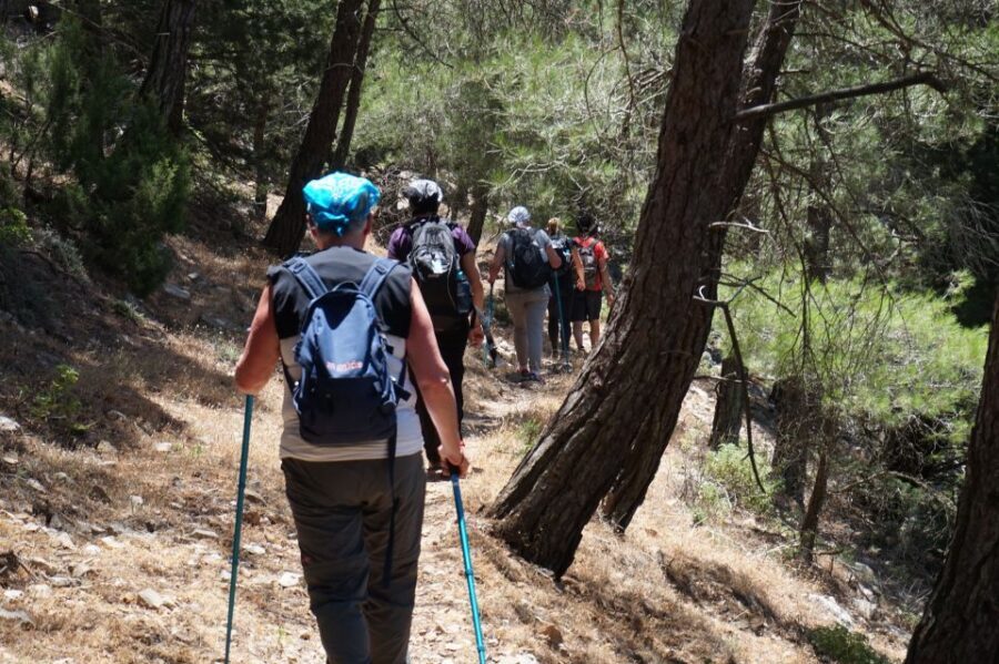 Rhodes: Hiking Tour to the Summit of Akramitis with Photos - Why this Akramitis hike feels special on Rhodes