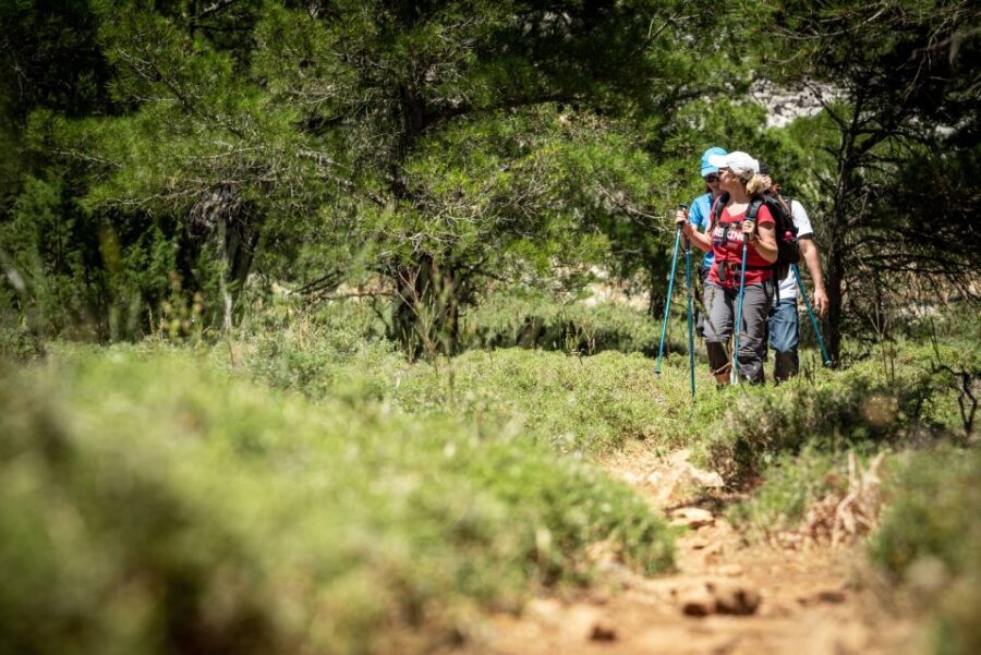 Rhodes: Hiking Tour to the Summit of Akramitis with Photos - The harder stretch to Akramitis: shrubs, rocks, and the summit moment