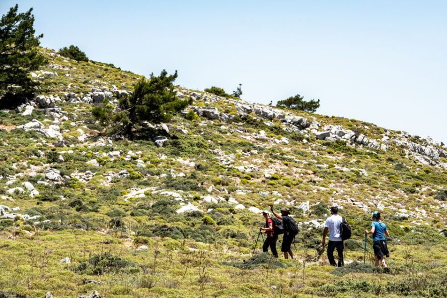 Rhodes: Hiking Tour to the Summit of Akramitis with Photos - Guides and group energy: safety, pace, and local know-how