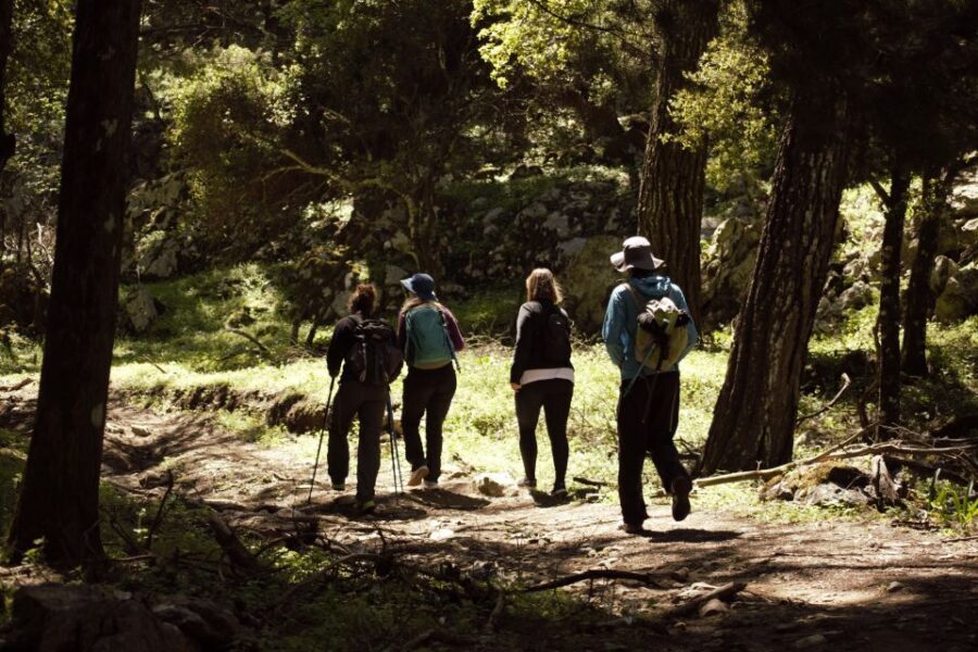 Rhodes: Profitis Ilias Guided Sunset Hike - Small group energy and your guide’s role (English/Greek)
