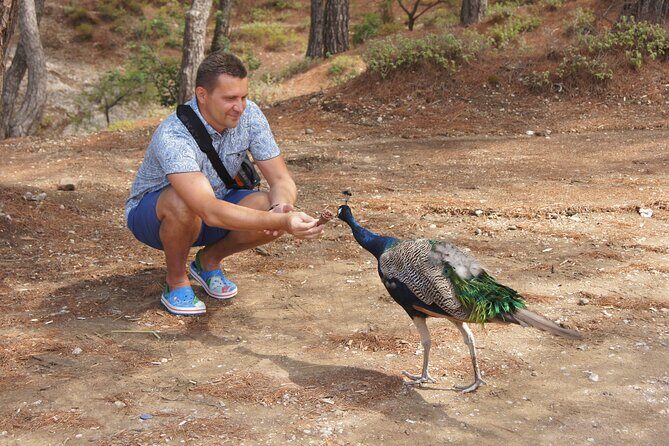 Rhodes Self Drive 4x4 Wilderness Expedition & Traditional Lunch - Price and value: is $150.37 a fair deal?