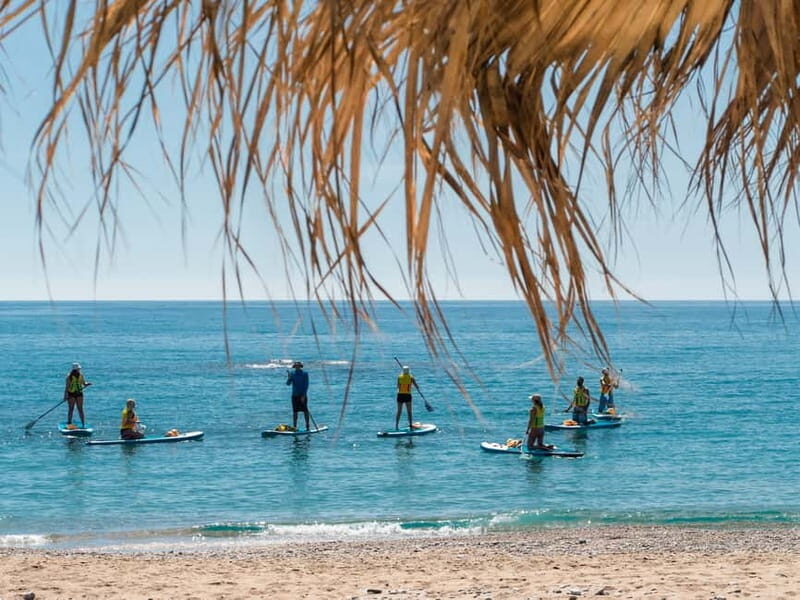 Rhodes: Stegna Beach Stand Up Paddleboarding Lesson - Why This Stegna Beach Paddle Lesson Feels Worth Your Time