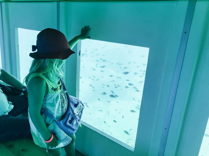 Rhodes Town: Submarine Cruise with Underwater Views - Underwater windows and the diver feeding fish: the main event