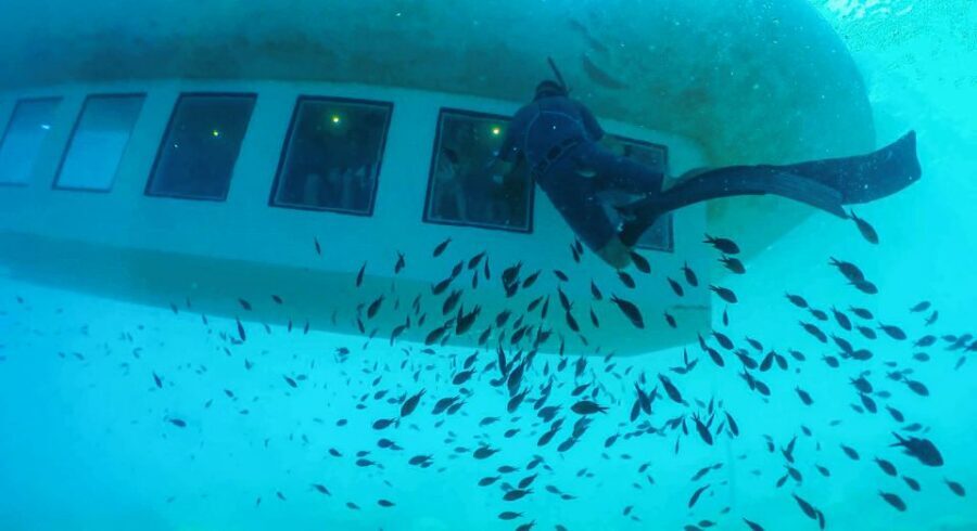 Rhodes Town: Submarine Cruise with Underwater Views - Deck vs cabin: where you’ll be happiest for your comfort level