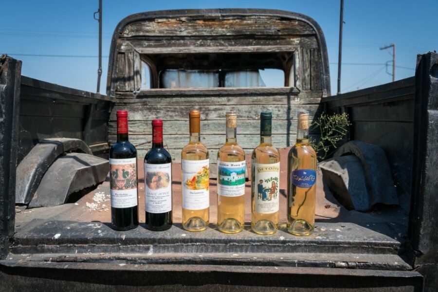 Rhodes: Winery Tour, Tasting and cooking with the Winemaker - Vineyard walk: local grapes, sustainable viticulture, and what you should notice