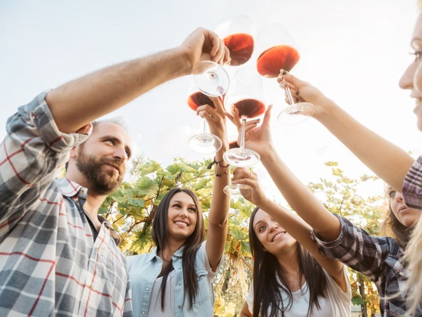 Rhodes: Winery Tour, Tasting and cooking with the Winemaker - Wine tasting with the winemaker at the outdoor bar