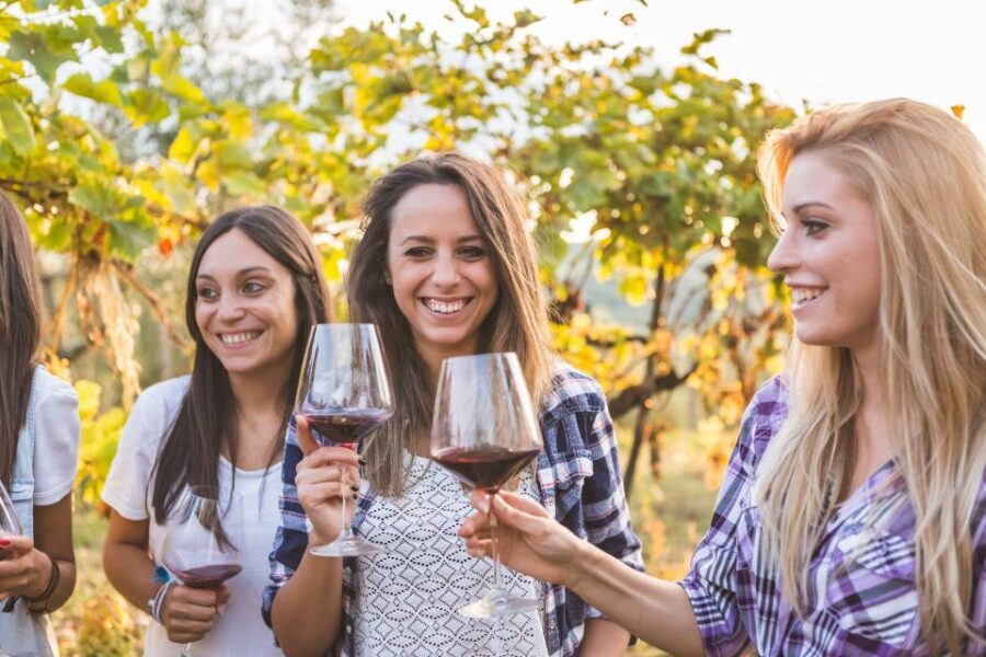 Rhodes: Winery Tour, Tasting and cooking with the Winemaker - Mezedes meal with vineyard views: mostly vegetarian, built for pairing