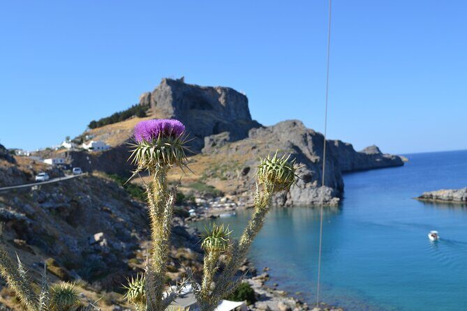 Rhodos-Vip: Guided Tour to Lindos village + Butterflies Valley - Entering the Valley of the Butterflies: the walk, the reserve, and the species