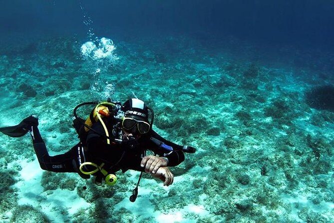 SCUBA DIVE: Kallithea's Underwater Exploration - Kallithea Reef Sea Life: Cuttlefish, Schools of Fish, and Possible Turtles
