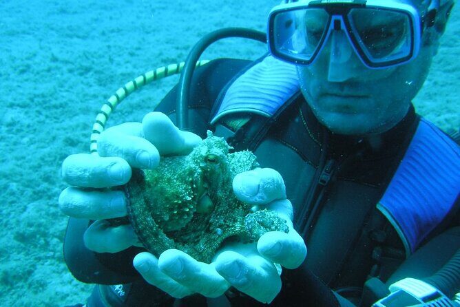 SCUBA DIVE: Kallithea's Underwater Exploration - Price and Value: Is $101.27 Worth It in Rhodes?