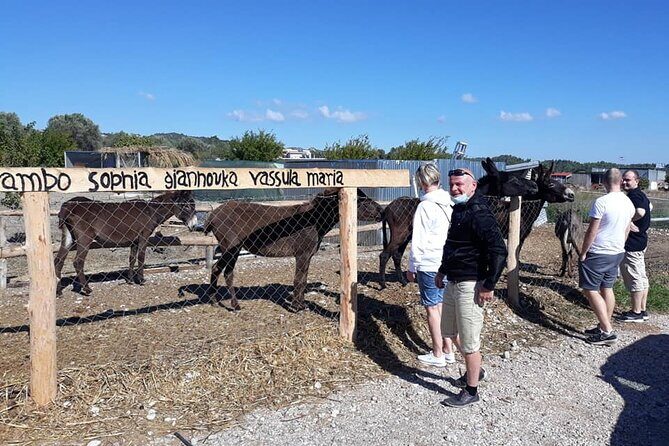 Self drive 4x4 Jeep Safari - Pick ups in the North - Forest tavern stop and optional moussaka lunch (€15)