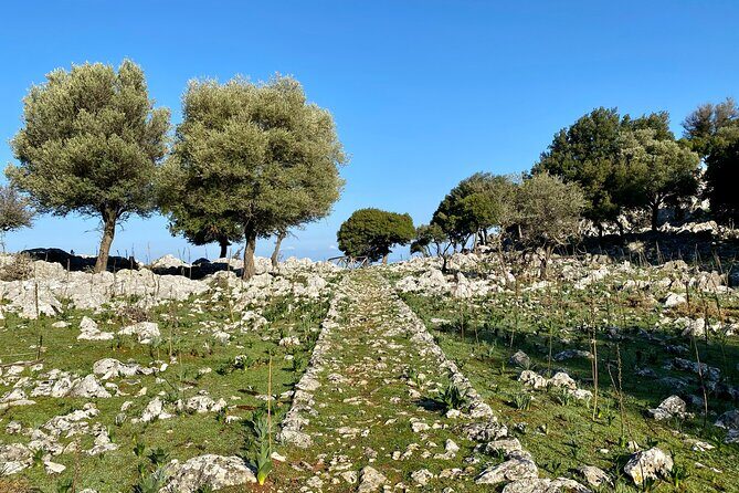 Small Group Hiking from Salakos to Profitis Ilias - Summit payoff: breathtaking views plus coffee and biscuits